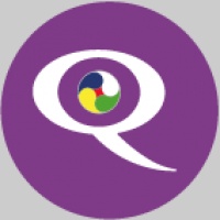 3 Q DISK VIOLA