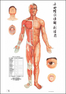 meridiani-agopuntura-213x300