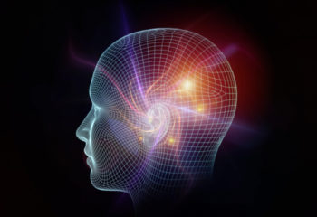 shutterstock_219985552 shutterstock_219985552