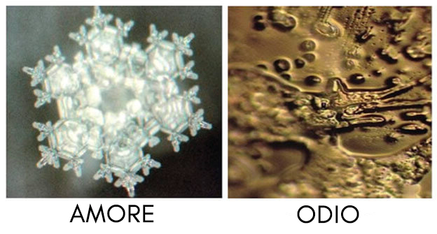 masaru-emoto-odio-amor