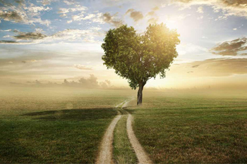 TESTIMONIANZE categoria CRESITA PERSONALE