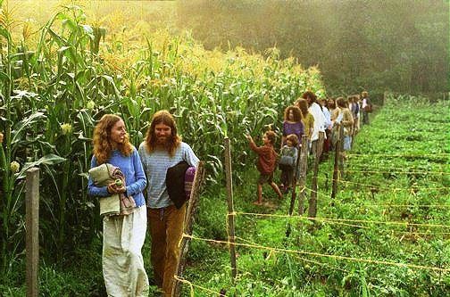 hippie (1)