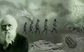 images (1)